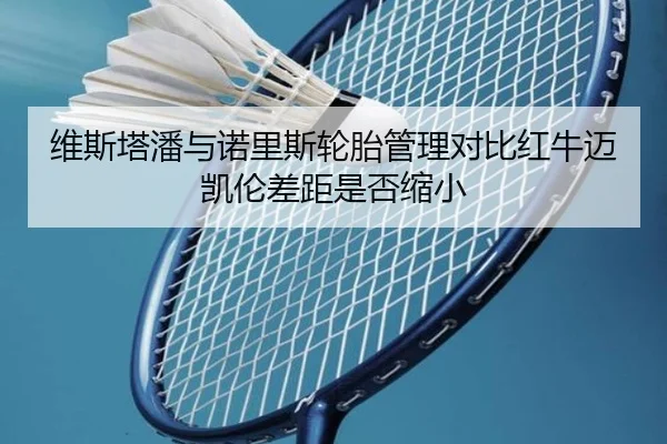 维斯塔潘与诺里斯轮胎管理对比红牛迈凯伦差距是否缩小